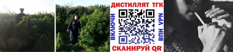 OMG ссылки  Димитровград  ТГК жижа  купить наркоту 