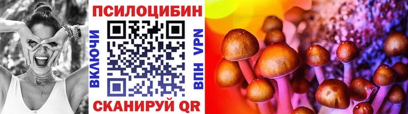 Псилоцибиновые грибы Psilocybine cubensis Димитровград