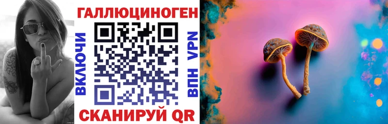 ссылка на мегу маркетплейс  цены   Димитровград  Псилоцибиновые грибы ЛСД 