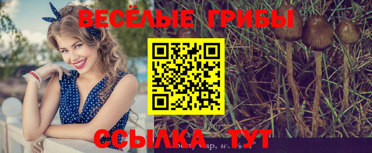 Галлюциногенные грибы MAGIC MUSHROOMS Димитровград
