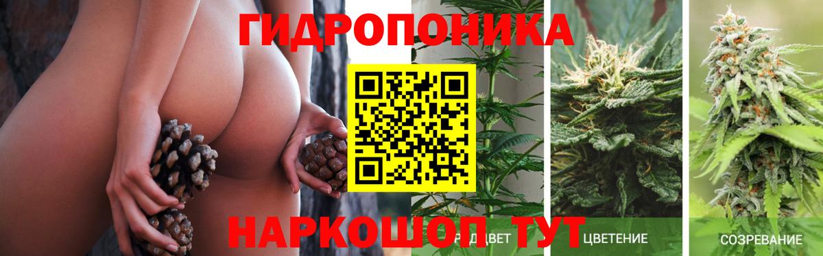 Конопля AK-47  Каннабис OG Kush  Вход с VPN  Бошки марихуана White Widow  Димитровград  Конопля план 